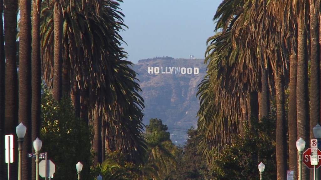 38_HollywoodSignPalms