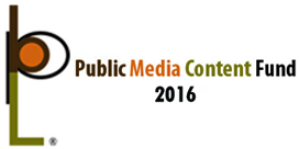 Public Media Content Fund 2016